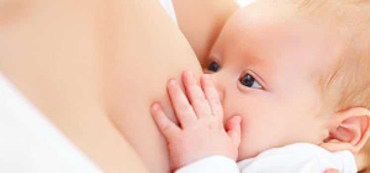 Izbira prsne črpalke in učenje pravilnega črpanja dojke Vzroki zamašitve mlečne žleze